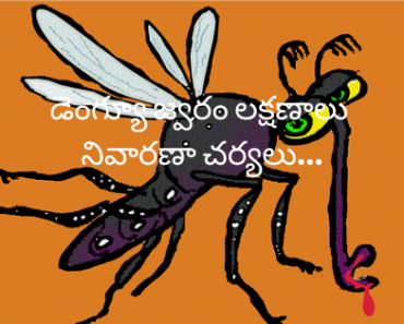 Dengue Fever Symtoms and Treatment in Telugu