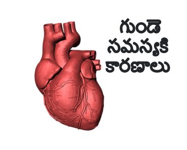 Heart Problem Symtoms in Telugu