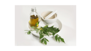 Neem Oil Benefits in Telugu