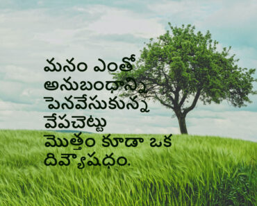 Neem tree is a medicine and panacea in Telugu