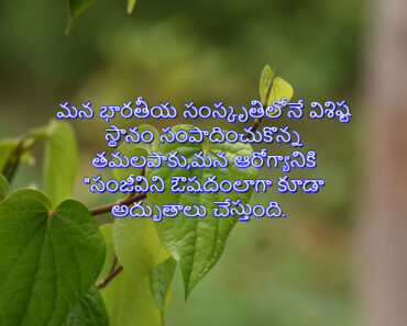 Betel leaf is a symbol of spirituality, and as a "sanjeevini" medicine for health problems in Telugu.