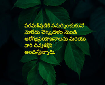 Lord Shiva is giving us all the blessings and health from the Maredu tree in Telugu