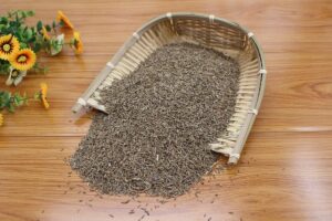 Medicinal properties and benefits of cumin seeds for our health in Telugu