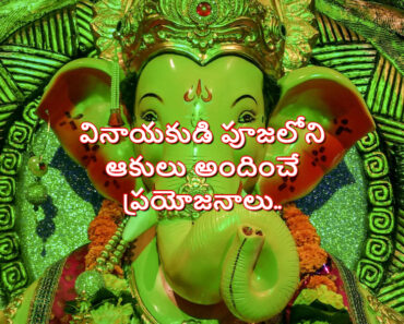 Did you know that the leaves used to worship Vigneshwara are powerful medicines? in Telugu