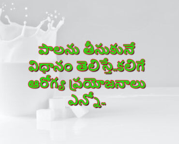 Milk description, health benefits and how to consume it? in Telugu