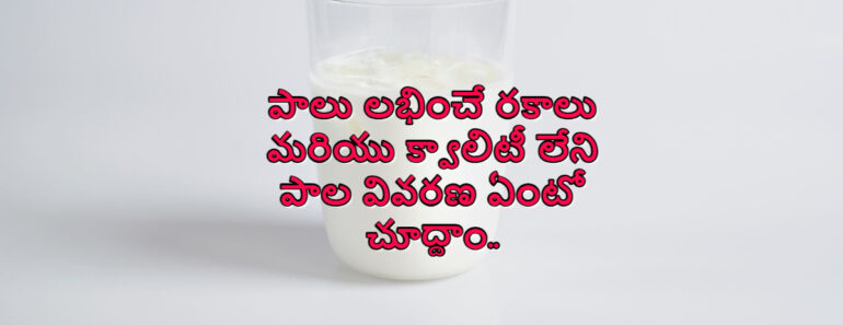 How many varieties of milk are available and definition of adulterated milk in Telugu