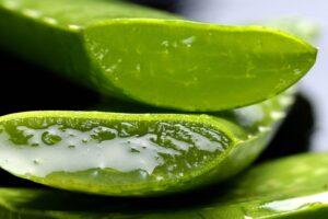 Aloe vera benefits, side effects for beauty and health in Telugu