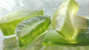 Aloe vera benefits, side effects for beauty and health in Telugu