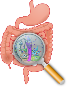 Diarrhea Causes, Symptoms, Prevention and Home Tips in Telugu