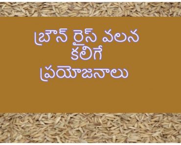 Brown Rice Health Benfits in Telugu
