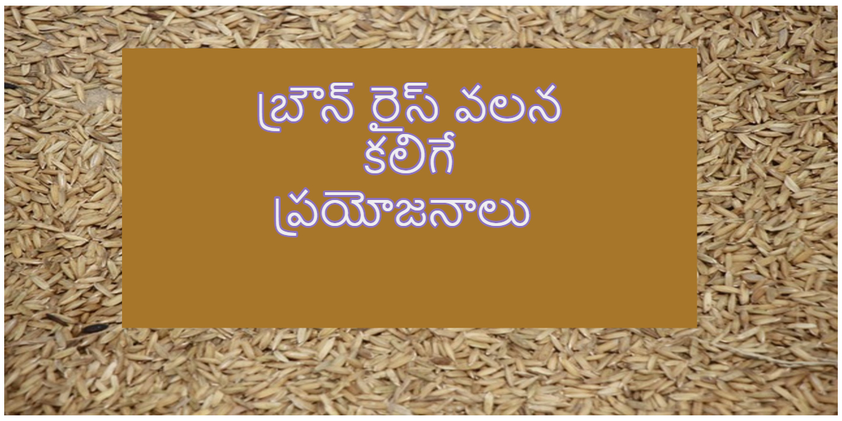 brown-rice-health-benefits-in-telugu-healthguideintelugu