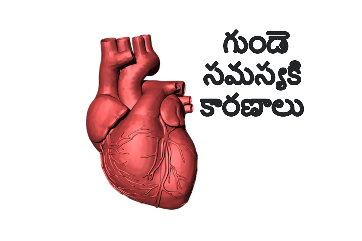 heart-problem-symptoms-in-telugu