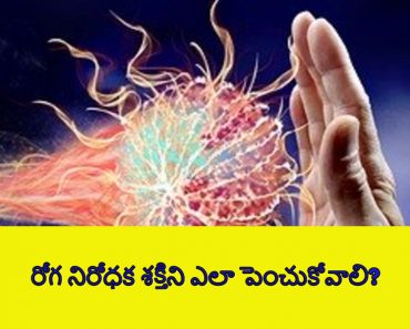 Best Immunity Power Foods in Telugu