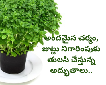 Tulasi benefits to beauty for your skin and hair in Telugu