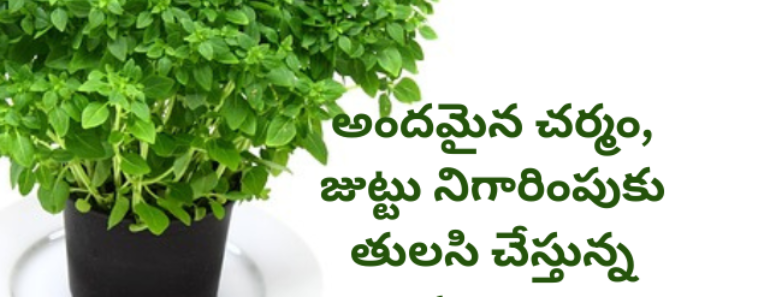 Tulasi benefits to beauty for your skin and hair in Telugu