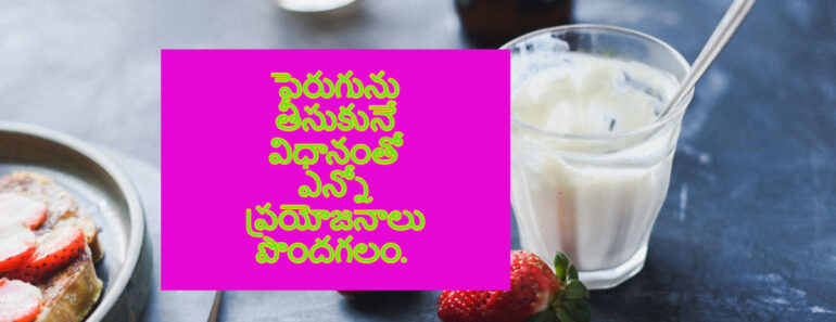 How to consume yogurt and its uses in Telugu